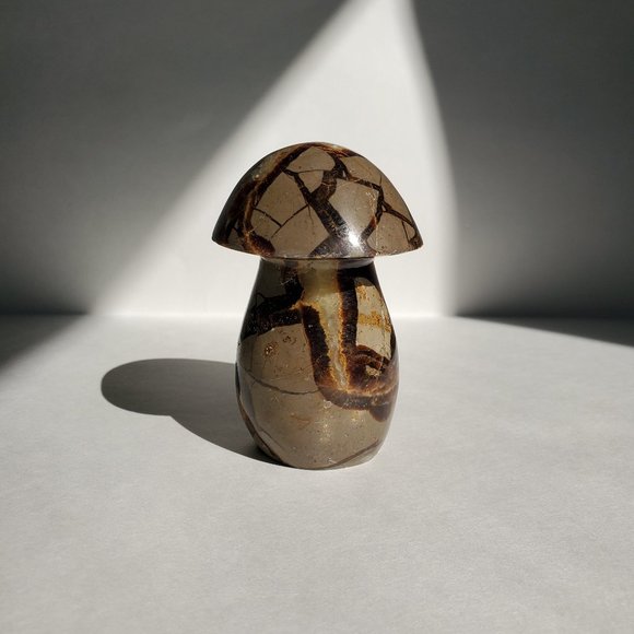 4" tall Septarian Mushroom Crystal - Picture 3 of 4